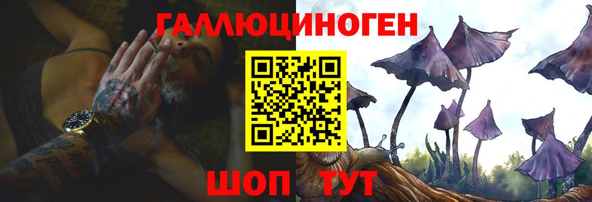 Галлюциногенные грибы Cubensis  Вход с VPN  Трёхгорный 